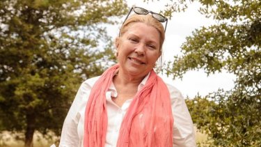 Piden la indagatoria apra Elisa Carrió en la causa de espionaje ilegal. 