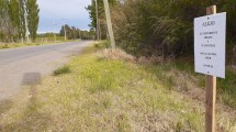 Imagen de Construyen reductores de velocidad sobre una avenida en Regina
