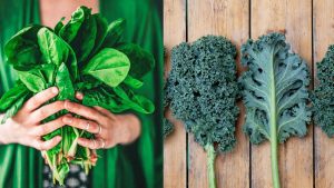 Dejá que la Botánica cambie tu cocina: vas a comer mejor