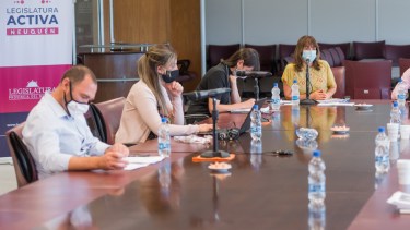 Neuquén descarta aumento salarial este año y evaluarán alternativas en 2021
