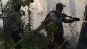 Un incendio afectó una zona de Lago Gutiérrez en Bariloche