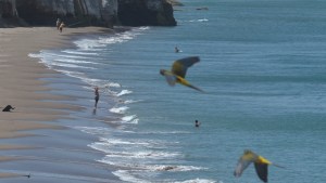 ¿Querés viajar a Las Grutas? Sólo necesitás invitación o reserva