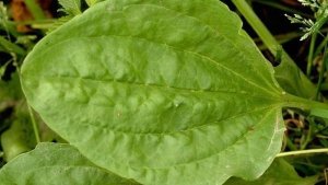 Senillosa: la escuela N°268 logró conectividad&#8230; con su  entorno natural fabuloso