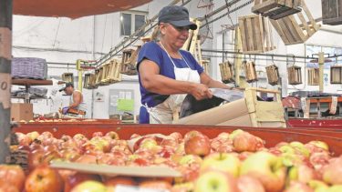 Los trabajadores sumaron una monto no remunerativo desde julio a noviembre del 15,5% . (foto:archivo)