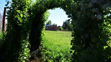 Con esta notoria improvisación, se logró darle un aspecto distinto a los cercos. (Foto: César Izza)