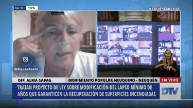 Alma Sapag participó de la sesión desde Caviahue. 