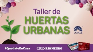 Comenzá hoy mismo tu propia huerta urbana