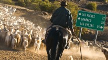 Imagen de Advierten que no habrá pastizales en el verano para alimentar a los piños de chivos