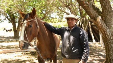 El gaucho que amansa caballos con la caricia y el susurro en la Línea Sur
