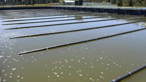 La CEB se encamina a renovar la concesión del saneamiento en Bariloche