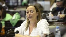 Imagen de Aborto: para Moreau «es una respuesta concreta a un problema de salud pública»