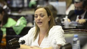 Aborto: para Moreau «es una respuesta concreta a un problema de salud pública»