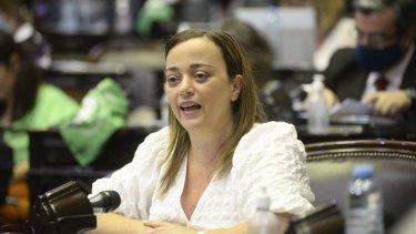 "Este proyecto profundiza una política de salud pública que tiene como eje el acompañamiento de las mujeres y de las personas gestantes, sea cual fuere su plan de vida. Se trata de poder garantizar un acceso y un disfrute pleno". Cecilia Moreau. Foto: @DiputadosAR
 