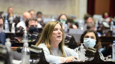  "Estamos discutiendo sobre la eliminación de un ser que se está gestando en el vientre materno. Allí hay vida y no es una distinción meramente semántica, porque implica el reconocimiento de un valor fundamental de la vida humana". Carmen Polledo Foto: @DiputadosAR