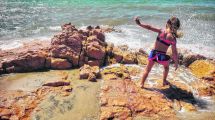Imagen de Un día más en Las Grutas: playas, avistajes y excursiones