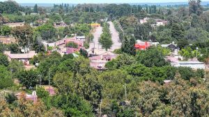 Formulan cargos contra un hombre de Guardia Mitre que mató a dos perros con un hacha y luego los colgó