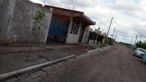 Completan el plan de forestación en distintos barrios de Viedma