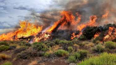 Brigadistas combaten un incendio en Loncopué