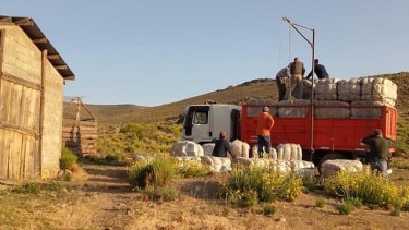 En los próximos días, la lana será transportada desde la Región Sur hacia Trelew. Foto: Gentileza. 