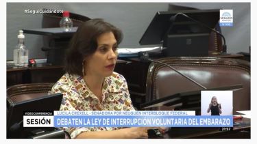 La senadora del Movimiento Neuquino se abstuvo en la votación de 2018. Foto captura.