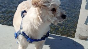 Pronóstico: este martes también estará muy caluroso en la región