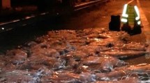 Imagen de Decomisaron 600 kilos de carne transportada sin permiso en Chichinales