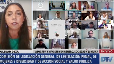 Vivo: siguen las exposiciones sobre aborto en Diputados
