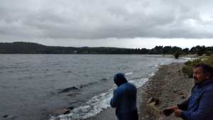 Proponen crear un sendero de trekking en la costa del lago Moreno, en Bariloche