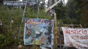 Organización ambientalista comparó a Lewis con la comunidad mapuche de Mascardi