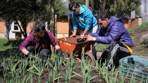 «Sabor Natural» pegó un gran salto digital desde San Martín de los Andes
