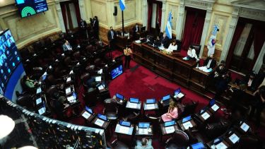 Se aprobó la ley impulsada por Máximo Kirchner.