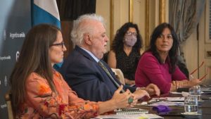 El Senado comenzó a tratar en comisiones el proyecto de Aborto Legal