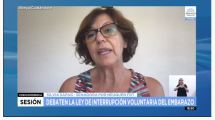 Imagen de Sapag: «Se desconfía de la capacidad de las mujeres para decidir»