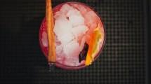 Imagen de Receta de un trago sin alcohol con frutos rojos