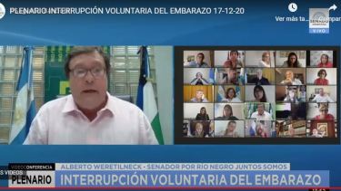 Alberto Weretilneck en el Senado opinó sobre el proyecto de Interrupción Voluntaria del Embarazo. 