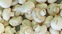 Imagen de Tres ideas para cocinar hongos por Pedro Lambertini