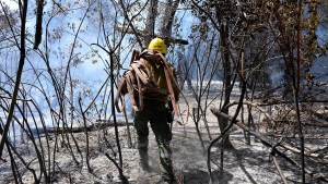 La lucha y la prevención reducen los incendios forestales en la montaña