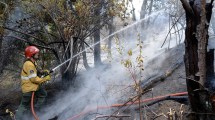 Imagen de Con las altas temperaturas, se reactivó el incendio forestal en El Bolsón