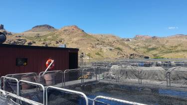 La semana pasada, el Ministerio de Producción visitó los desarrollos acuícolas de Alicurá (Gentileza).-