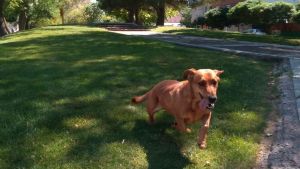 Pronóstico: así estará el primer lunes del año en la región