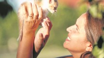 Imagen de Los animales y el coronavirus: ¿cómo está la situación?