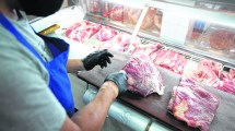 Imagen de Carne barata: dónde y cómo se aplicará el acuerdo en Río Negro y Neuquén