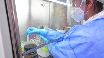 Imagen de Tenemos una chance para salir “mejores” de esta pandemia