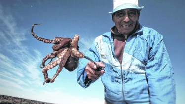 A los 77 años, sigue pulpeando, aunque sus hijos no quieren. “¿Qué voy a hacer si no?”, pregunta él.  Fotos: Martín Brunella 