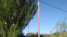 Imagen de Movistar denunció el robo de más de 16 mil metros de cable en el Alto Valle