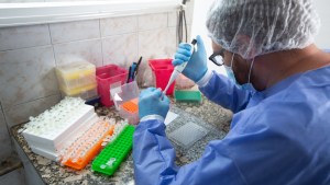 En nueve días de diciembre no hubo registro de nuevos casos en Roca