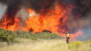 Ante el alto riesgo de incendios, prohíben hacer fuego al aire libre en Río Negro