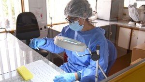 Identifican la variante vietnamita del coronavirus, un híbrido de los tipos británico y de la India