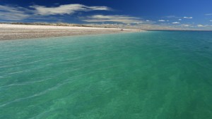 Biólogo propone aumentar la protección de los océanos para incrementar la pesca
