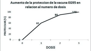 Covid: de qué hablamos ahora